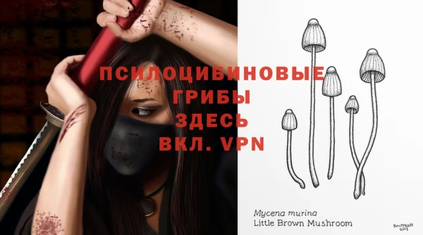 экстази Краснослободск