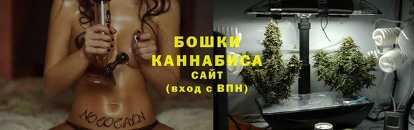 экстази Краснослободск