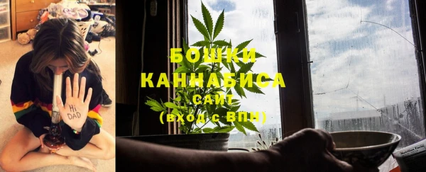 гидра Воткинск